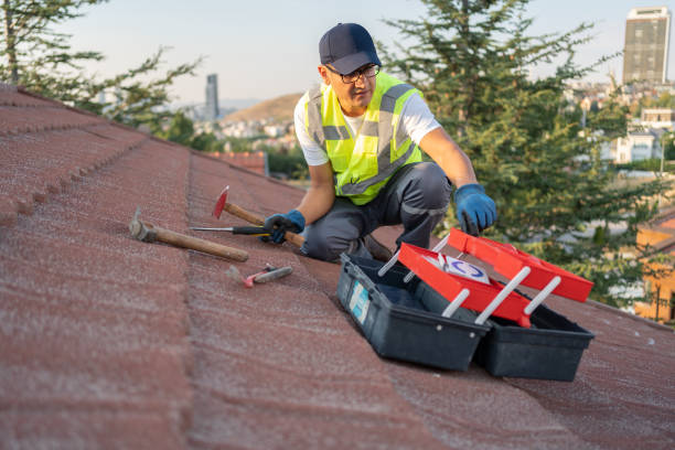 Best Stucco Siding  in Park Layne, OH